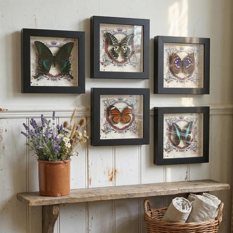 A gallery wall of framed butterfly specimens from the collection